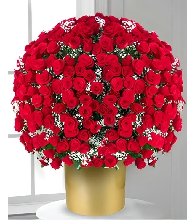 500 Red Roses