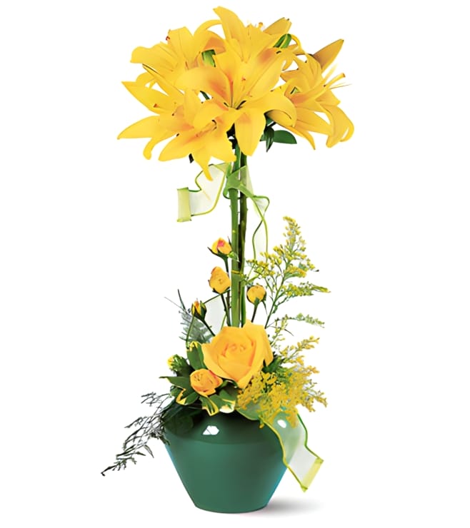 Lily Topiary, Yellow