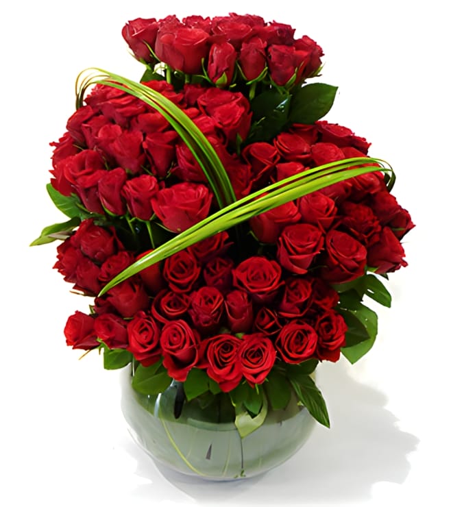 100 Red Roses, Congratulations