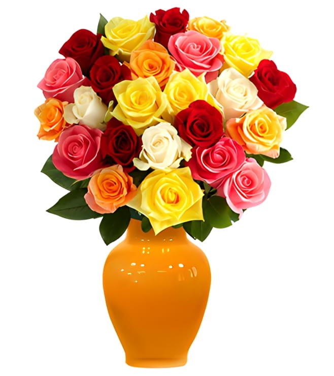 Two Dozen Multicolored Roses