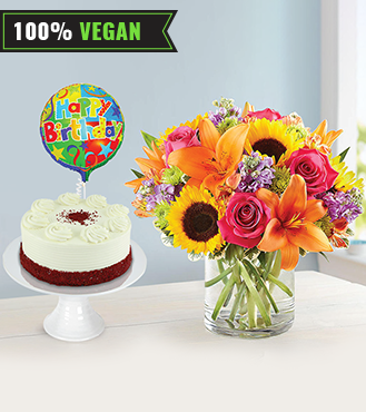 Surprise Sunshine Vegan Red Velvet Cake Bundle