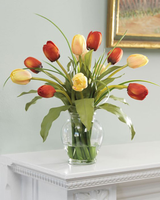 Simply Charming Tulips