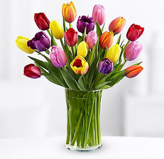 Vibrant Tulip Bouquet