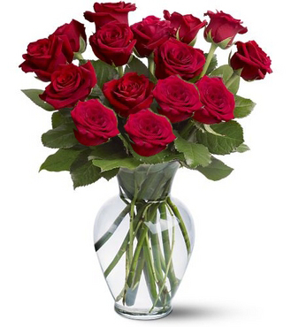 15 Red Roses