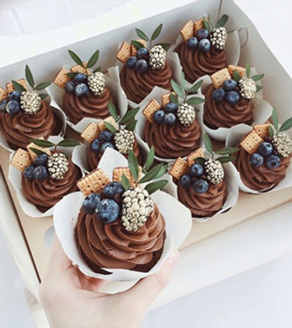 Irresistable Blueberry Cupcakes