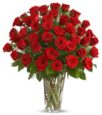 50 Red Roses