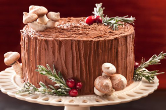 Chocolate Forest Log Cake