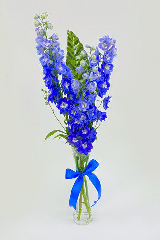 Blissful Blue Bouquet