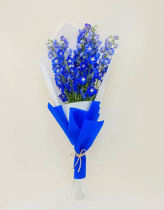 Blue Delphinium Bouquet