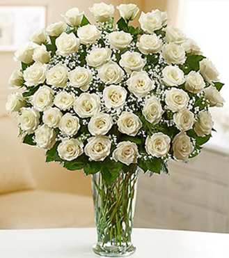 Serene White Roses