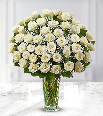 Serene White Roses