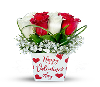 Red & White Rose Valentine's Day Bouquet