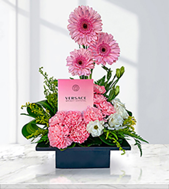Vibrant Gerbera Beauty with Versace Bright Crystal