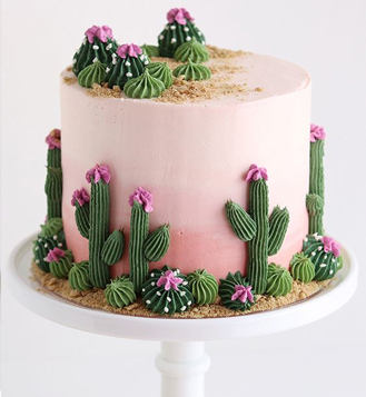 Pink Ombre Cactus Cake