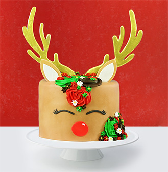 Red Nosed Reindeer Cake
