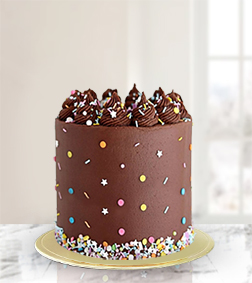 Chocolate Funfetti Mono Cake, Serving Size: 2