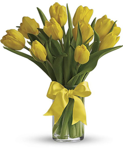 Sunny Yellow Tulips