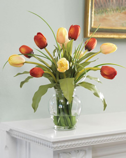 Simply Charming Tulips