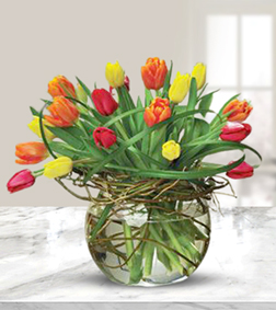 Contemporary Style Tulips