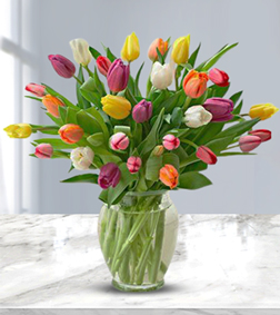 Radiant Tulip Bouquet, Tulips