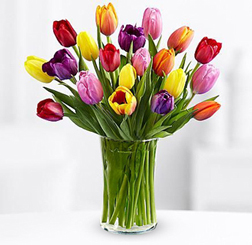 Vibrant Tulip Bouquet