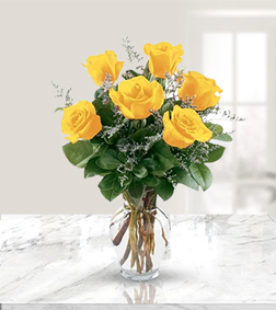 6 Yellow Roses, All Occasions