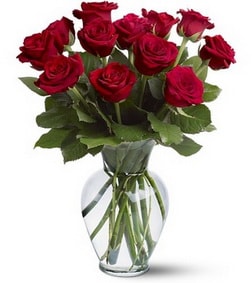 12 Red Roses