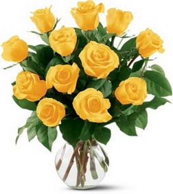 12 Yellow Roses