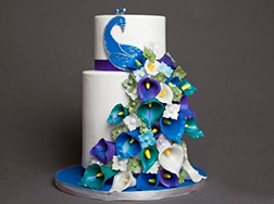 Peacock Feathers Cake