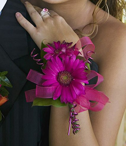 Charm & Cheer Corsage, Corsages