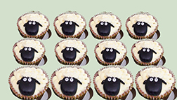Curious Sheep Cupcakes