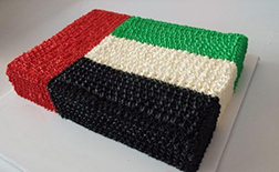 Majestic UAE Flag Cake