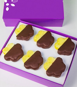 Chocolate Dipped Pineapple Daisies - Half Dozen, Boxes of Chocolate Covered Fruit
