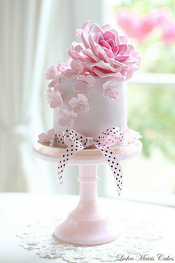 Pink Beauty Cake