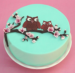 Mother Owl Cherry Blossom Cake