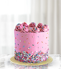 Strawberry Chocolate Funfetti Mono Cake, Serving Size: 2