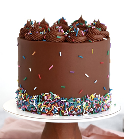 Colorburst Chocolate Cake
