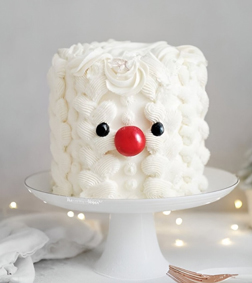 Frosty Wonders Christmas Cake