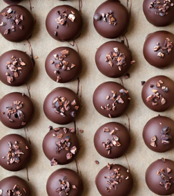 Cocoa Dream Truffles