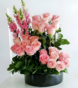 Roseate Rhapsody Arrangement