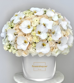 Heavenly Beauty Hatbox