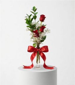 3 Red Roses