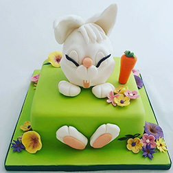 Bunny Fun Cake