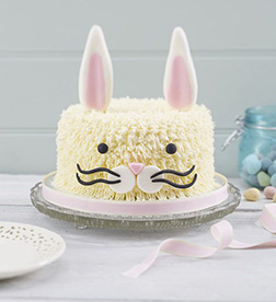 Fuzzy Bunny Cake