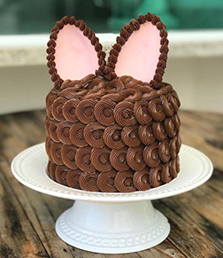 Frosted Chocolate Bunny Cake