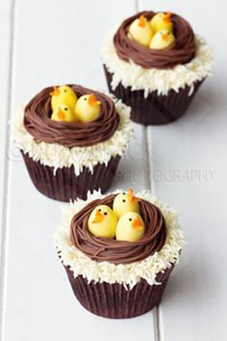 Nesting Chicks Cupcakes