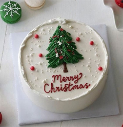 Merry Christmas Cake