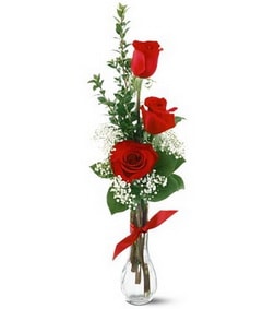 3 Red Roses, Business Gifts