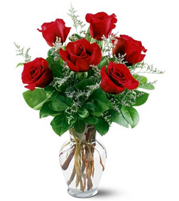 12 Red Roses