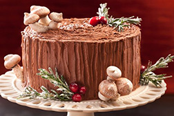 Chocolate Forest Log Cake